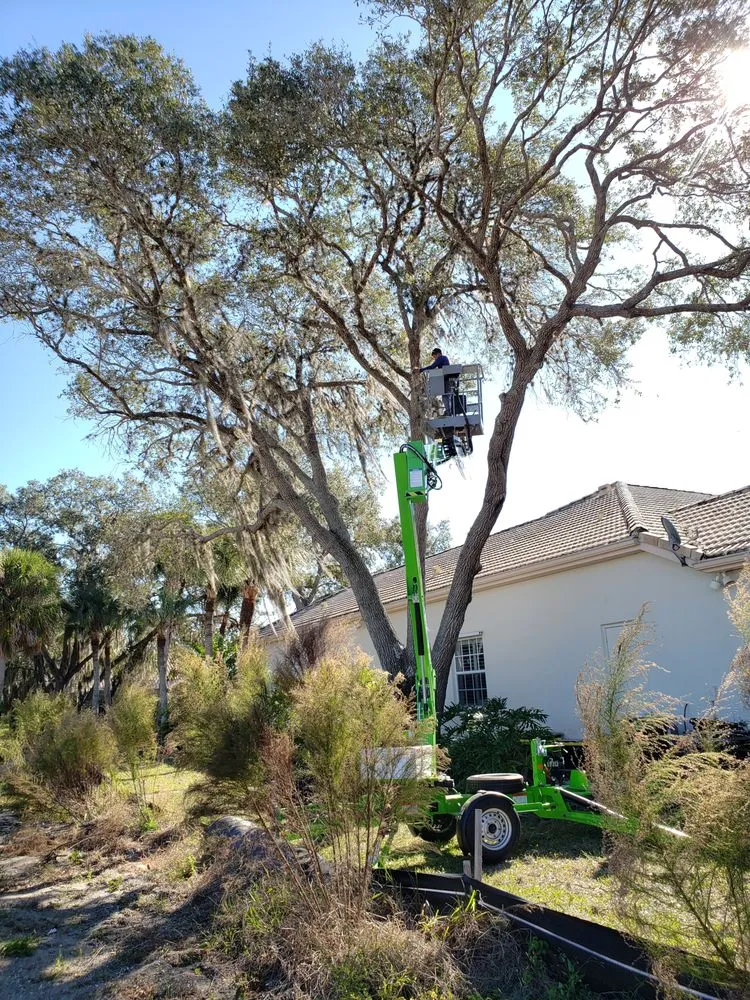 Expert residential landscaping in Englewood, FL by Quality Landscape