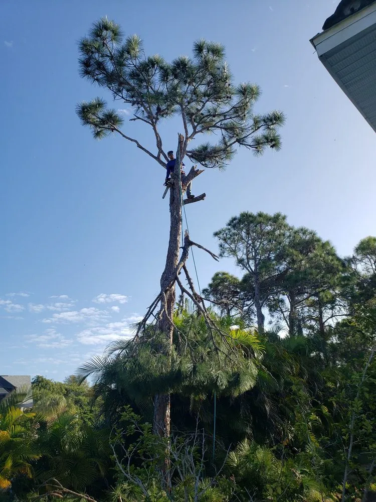 Reliable landscape design experts serving Englewood, FL - Quality Landscape