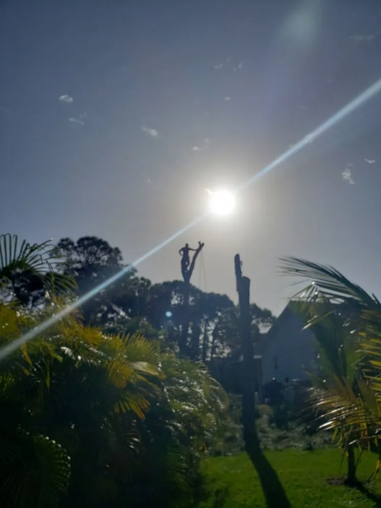 Trusted garden landscaping for homes across Englewood, FL - Quality Landscape