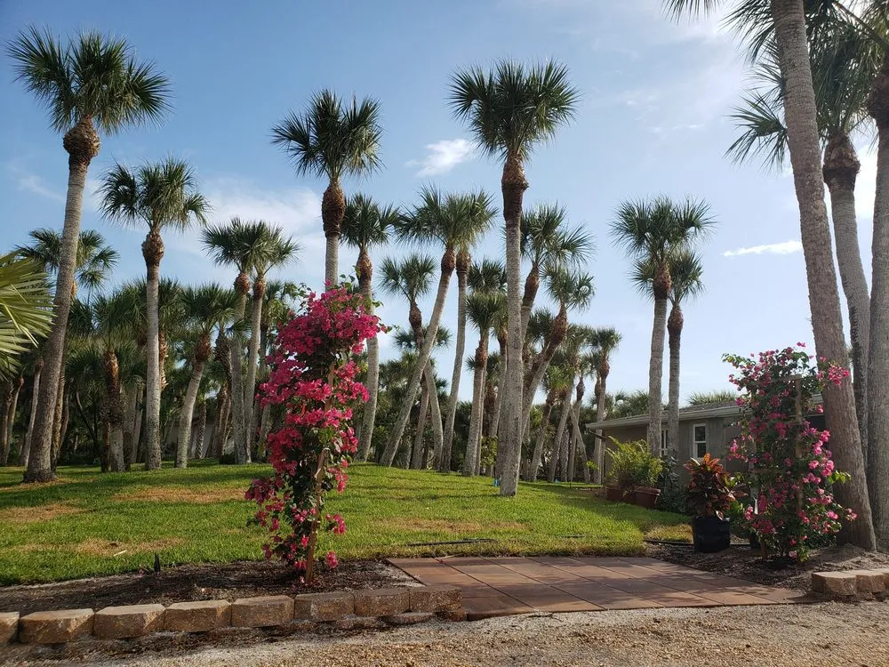 Expert lawn mowing service experts serving Englewood, FL - Quality Landscape