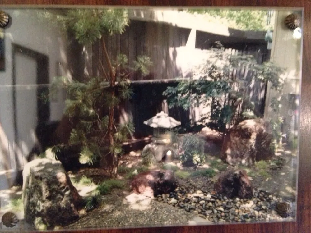 Expert yard maintenance in Rancho Cordova, CA - Quality Landscape