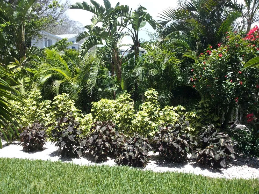 Expert landscaping services experts serving Bradenton, FL - Quality Landscape Services
