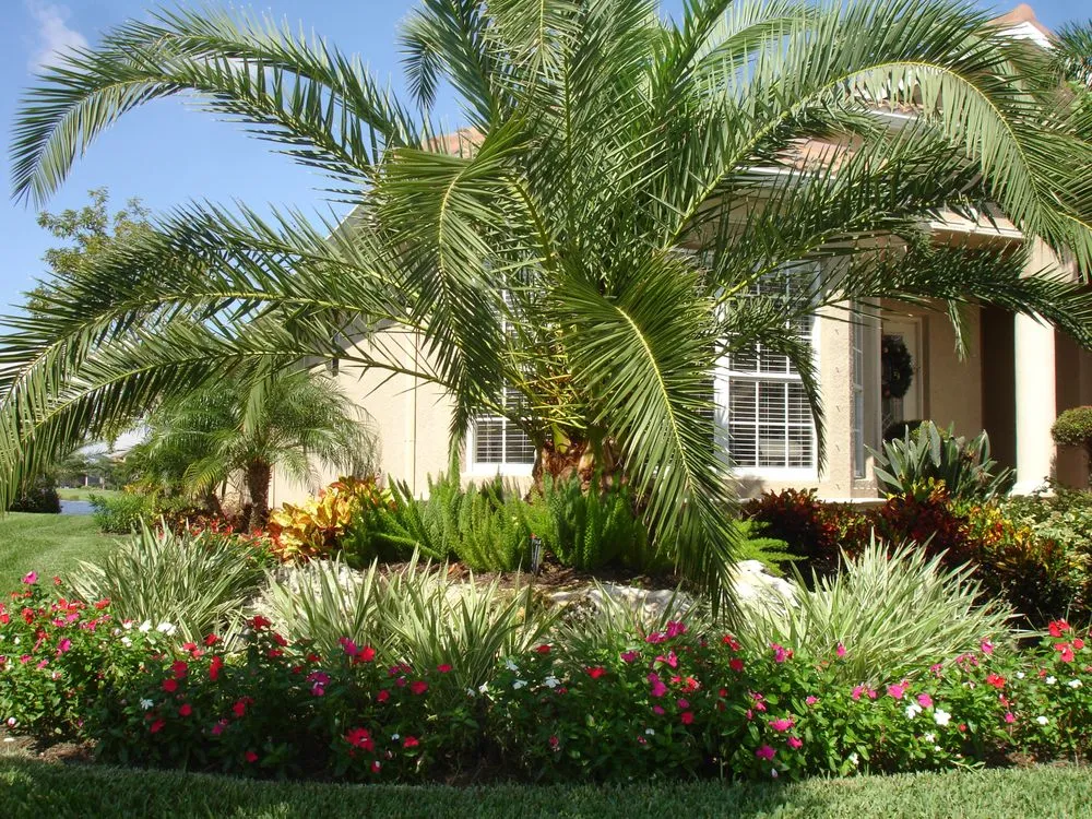 Top-rated outdoor landscaping for year-round maintenance across Bradenton, FL - Quality Landscape Services