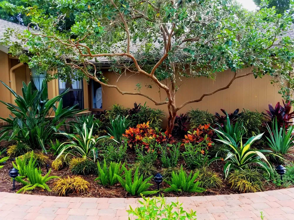 Professional landscaping services with custom design across Bradenton, FL - Quality Landscape Services