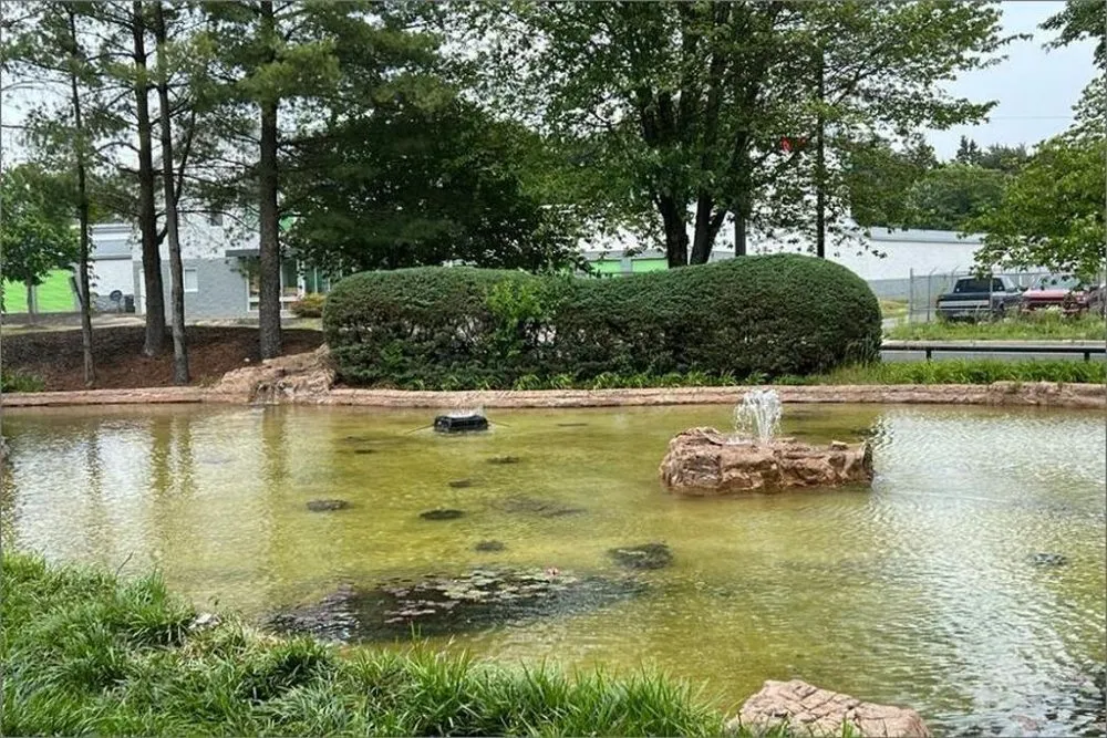 Expert landscape installation for beautiful yards in Davidsonville, MD by Quality Landscape Services