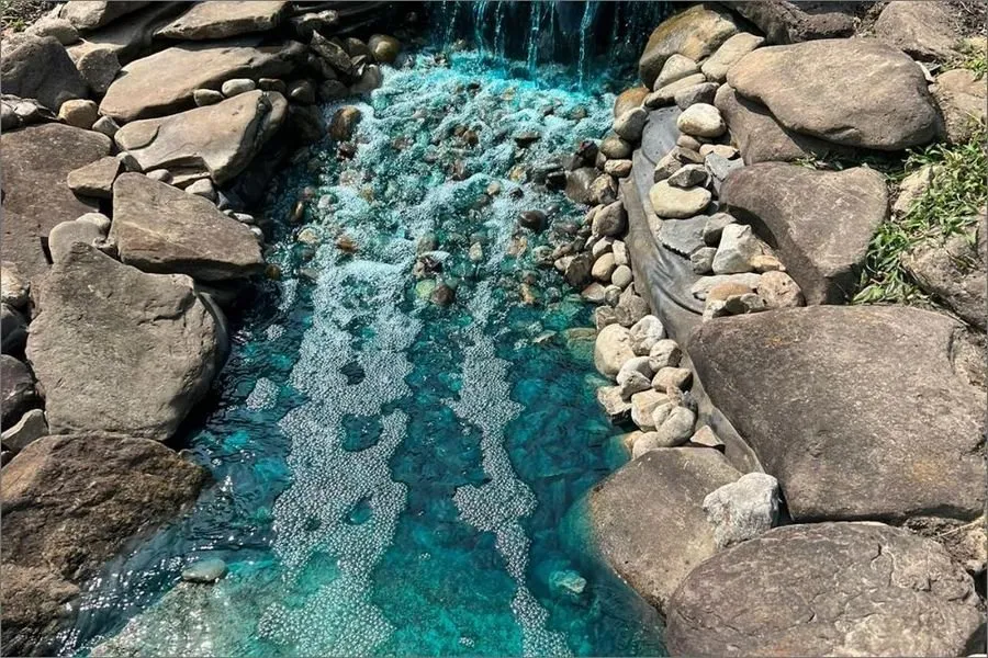 Affordable garden landscaping in Davidsonville, MD - Quality Landscape Services