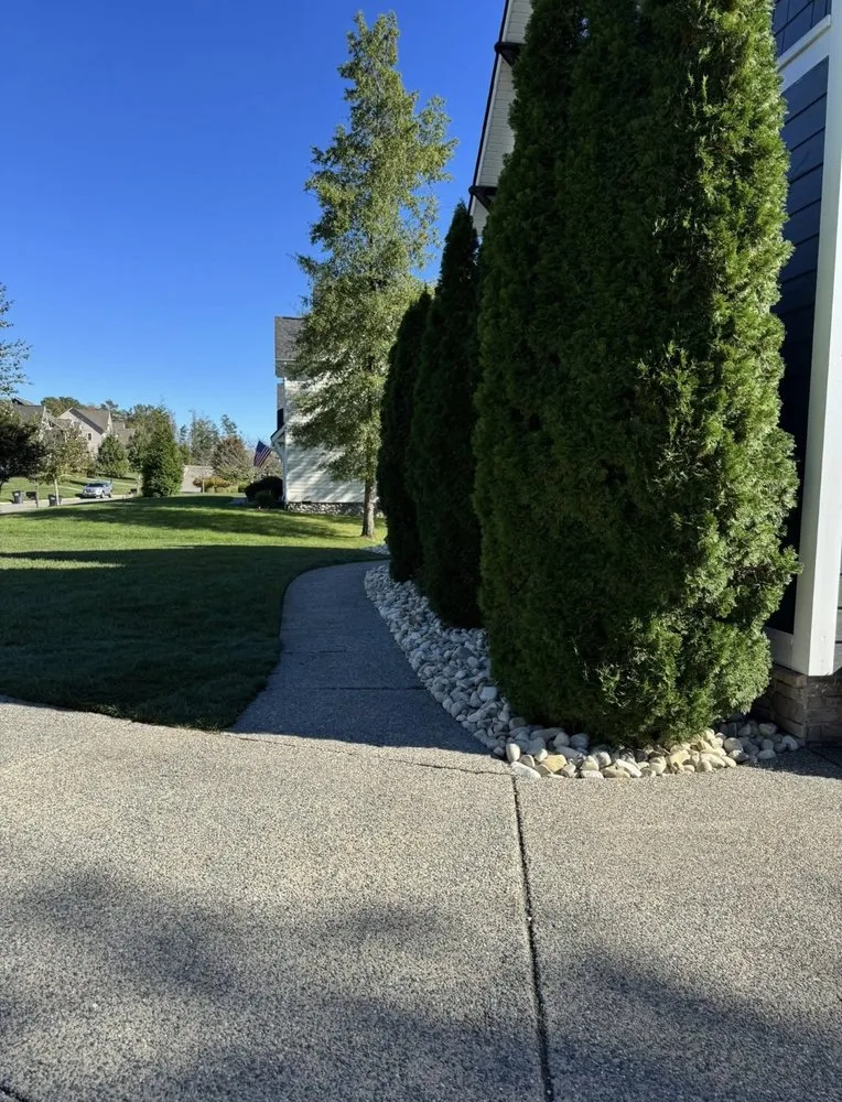 Trusted landscaping services for homes across Midlothian, VA - Quality Landscape Solutions