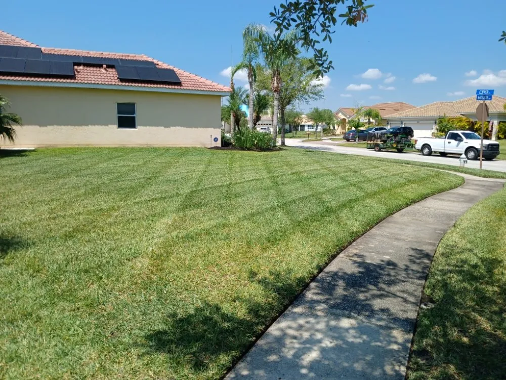 Expert yard maintenance for year-round maintenance in BVL, FL by Quality Landscape Tech's