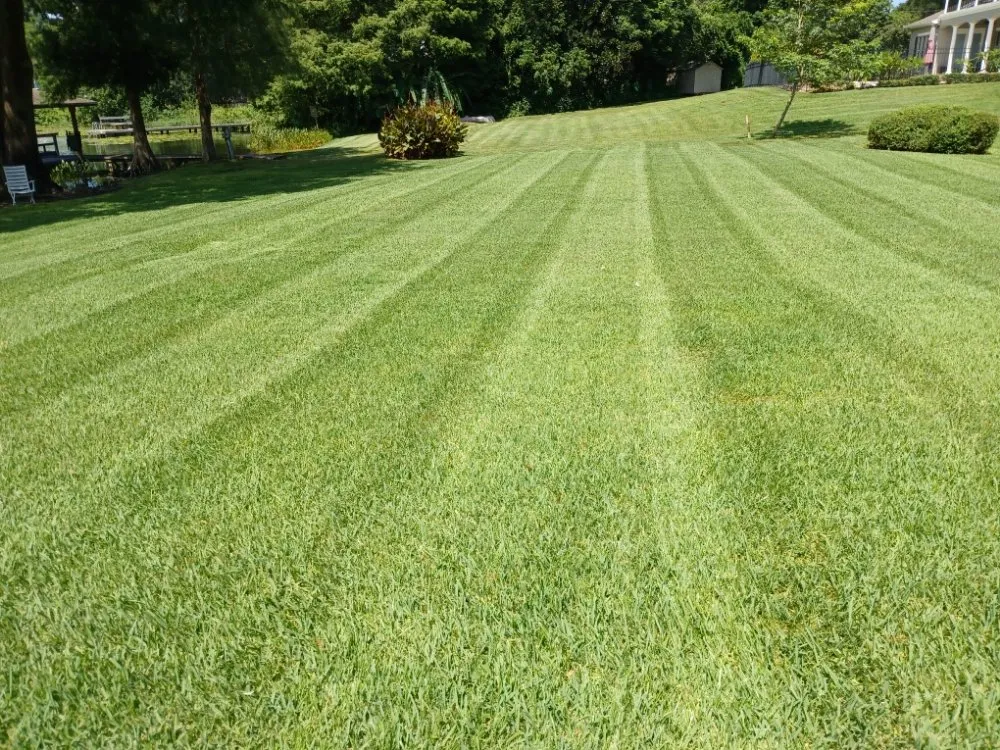 Trusted lawn care service in BVL, FL - Quality Landscape Tech's