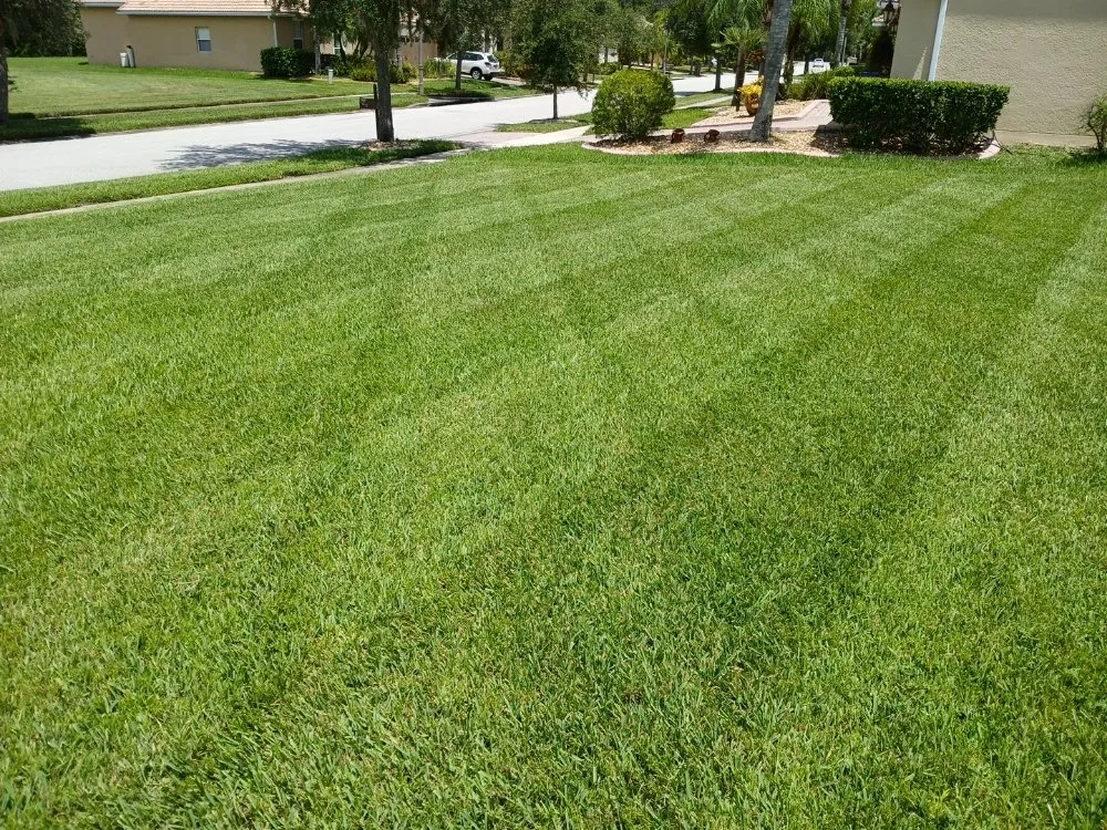 Custom garden landscaping with custom design in BVL, FL by Quality Landscape Tech's