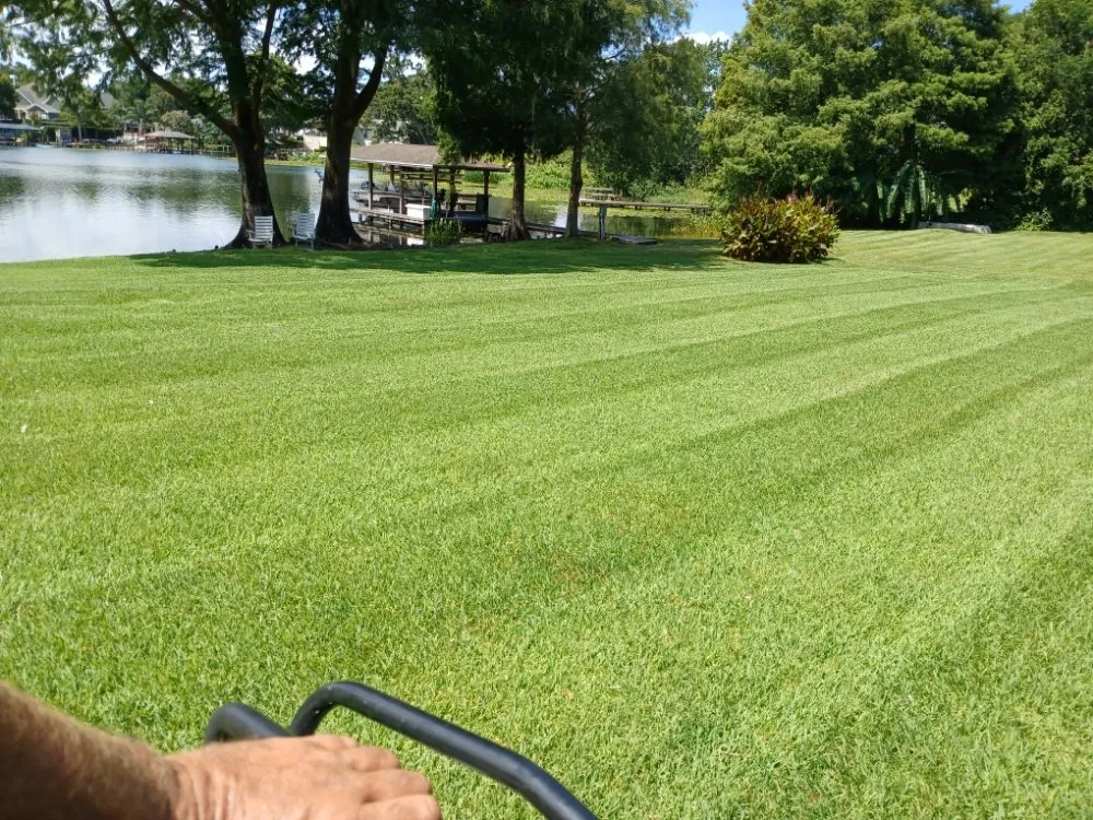 Top-rated outdoor landscaping in BVL, FL by Quality Landscape Tech's