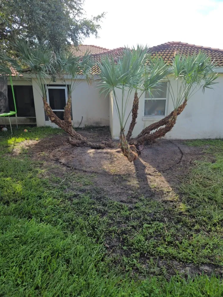 Trusted landscaping services in BVL, FL - Quality Landscape Tech's