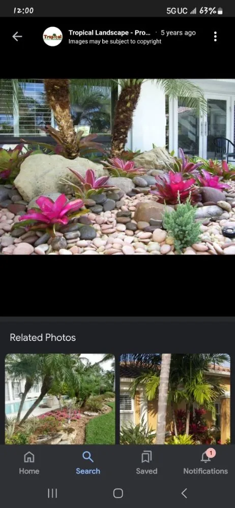 Expert lawn care service for year-round maintenance across BVL, FL - Quality Landscape Tech's