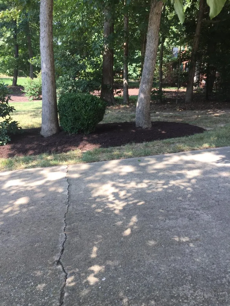 Custom yard cleanup service experts serving Sevierville, TN - Quality Landscapers