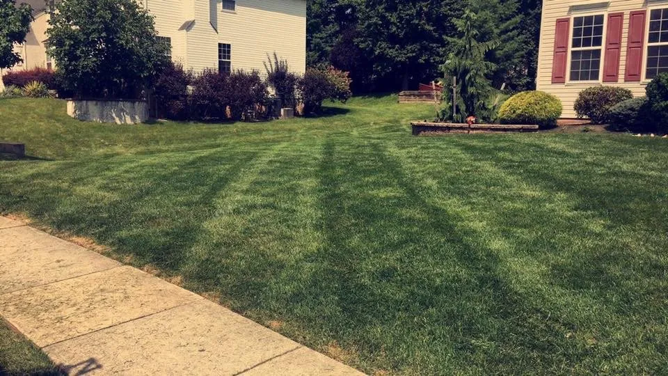 Top-rated yard cleanup service for homes in Warrington Township, PA by Quality Landscapes and Hardscapes, LLC