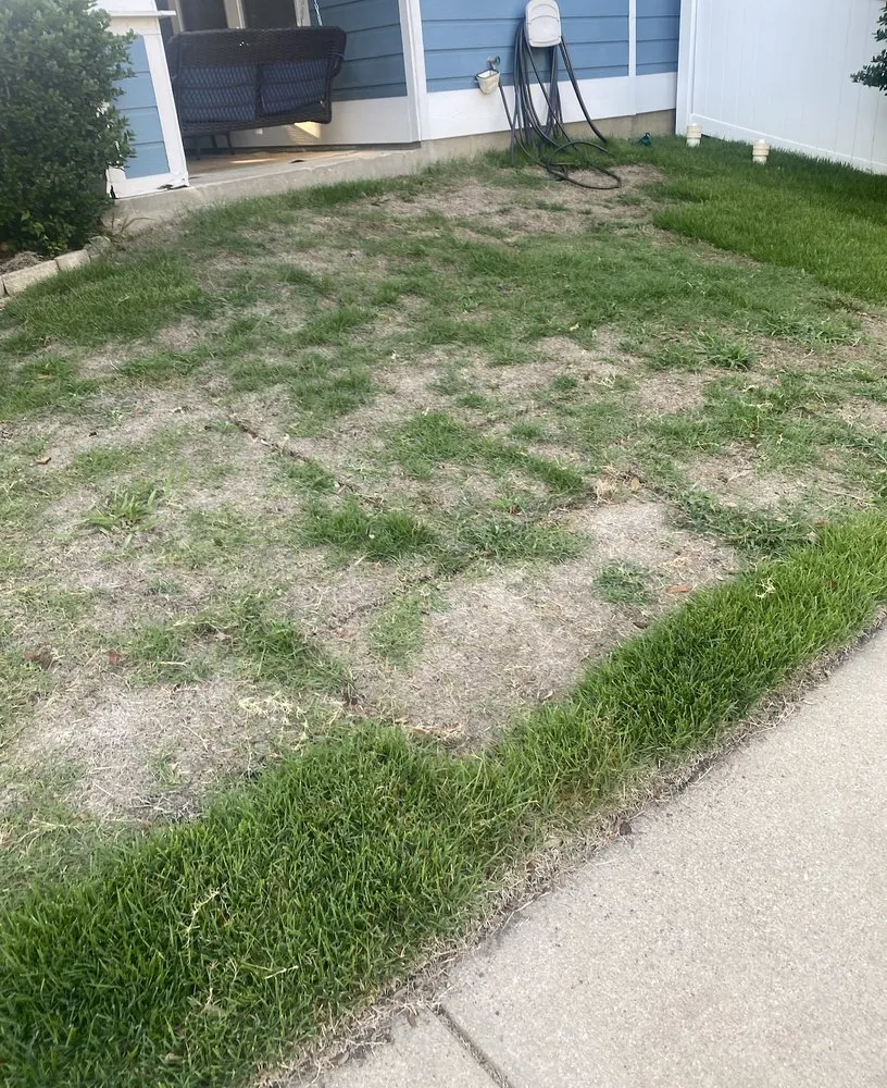 Affordable residential landscaping in Aubrey, TX - Quality Landscapes