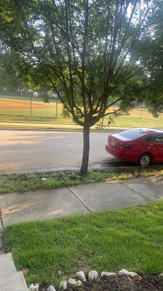 Expert outdoor landscaping in Aubrey, TX by Quality Landscapes