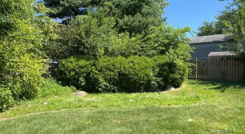 Affordable residential landscaping with custom design across Granite City, IL - Quality Landscapes