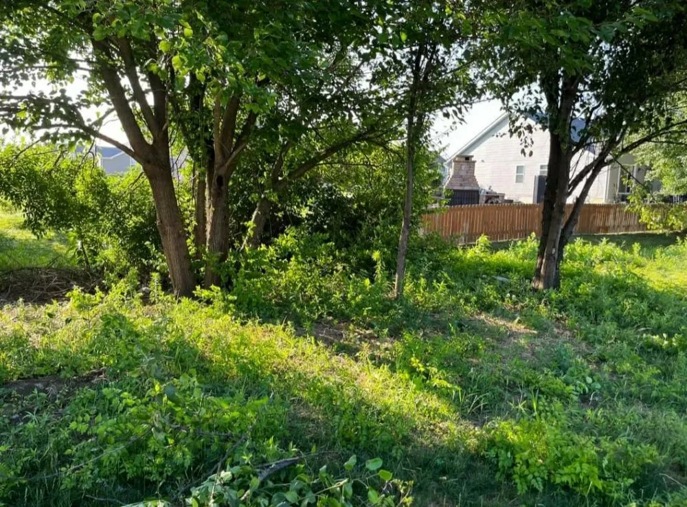 Trusted landscape installation for homes across Granite City, IL - Quality Landscapes