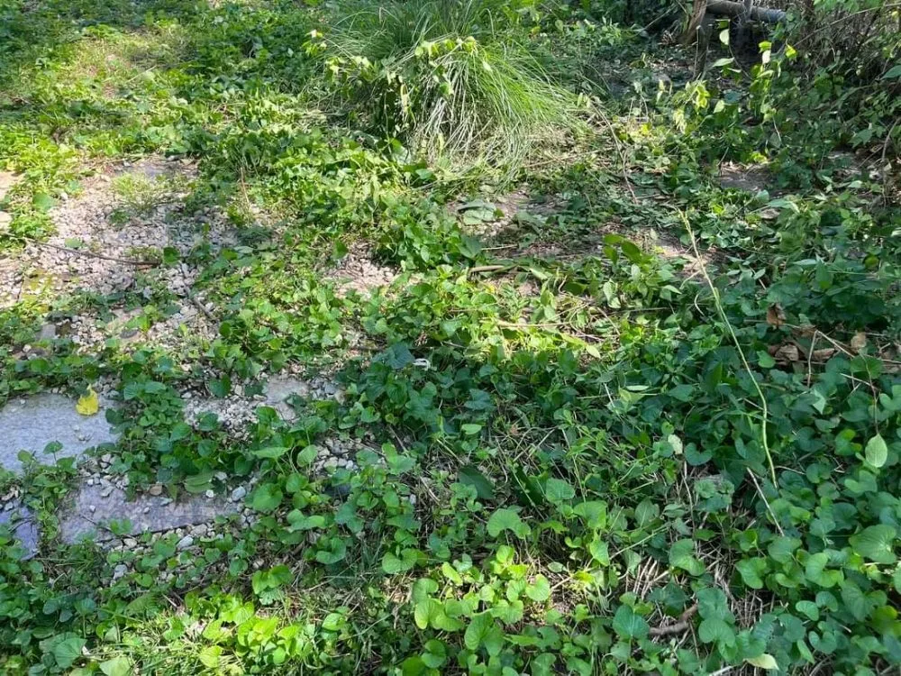 Top-rated landscape design experts serving Granite City, IL - Quality Landscapes