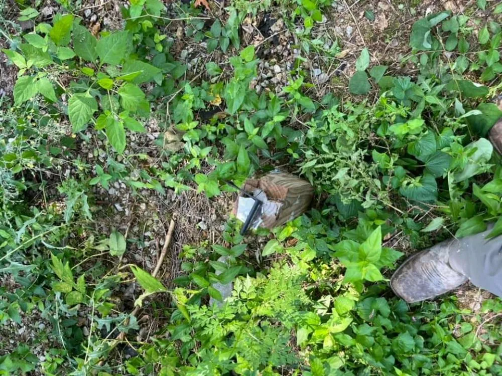 Expert landscaping services experts serving Granite City, IL - Quality Landscapes