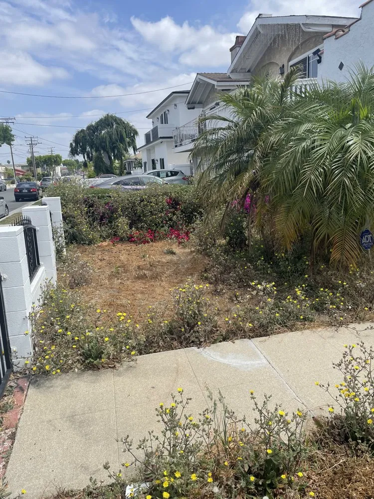 Expert outdoor landscaping in Lawndale, CA - Quality Landscapes