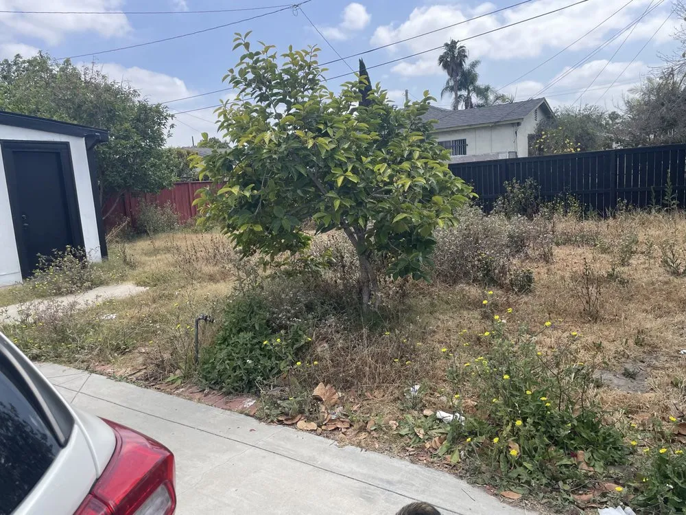 Affordable residential landscaping for residential properties across Lawndale, CA - Quality Landscapes