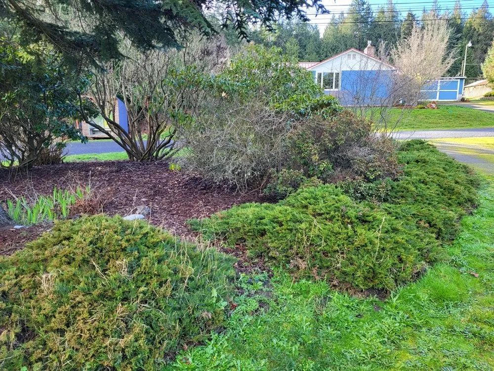 Local residential landscaping in Port Hadlock, WA - Quality Landscapes