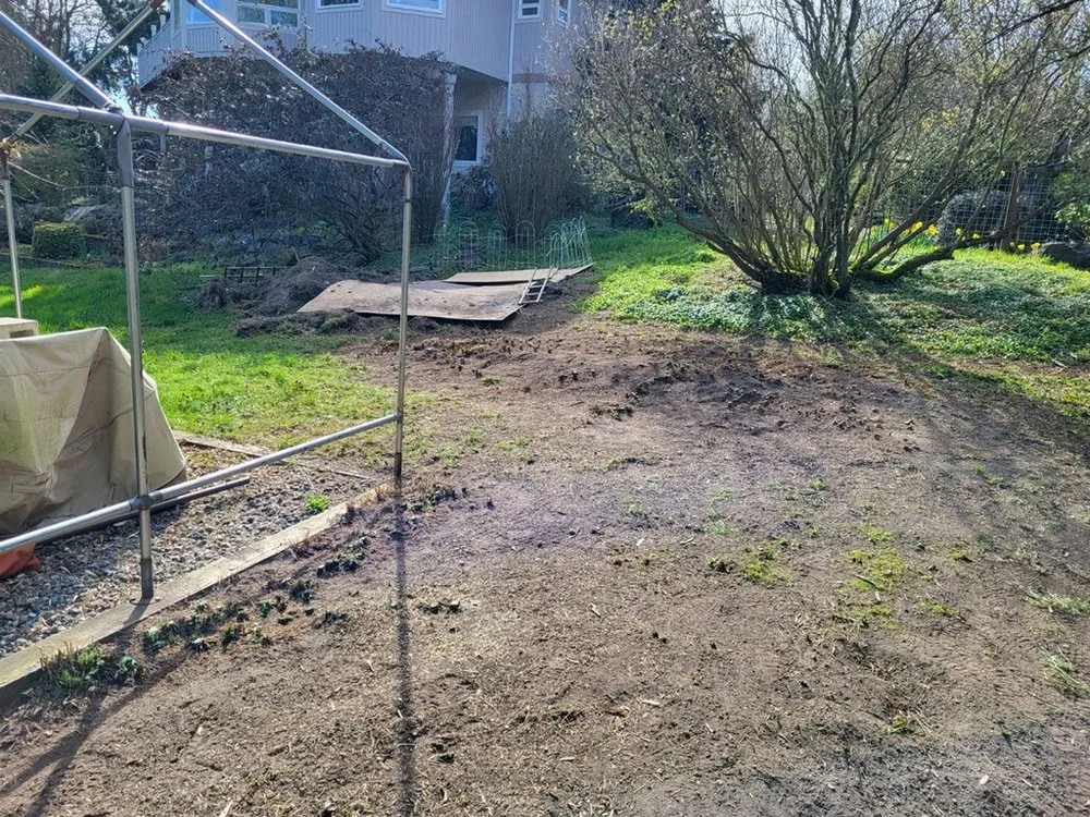 Reliable lawn care service for residential properties across Port Hadlock, WA - Quality Landscapes