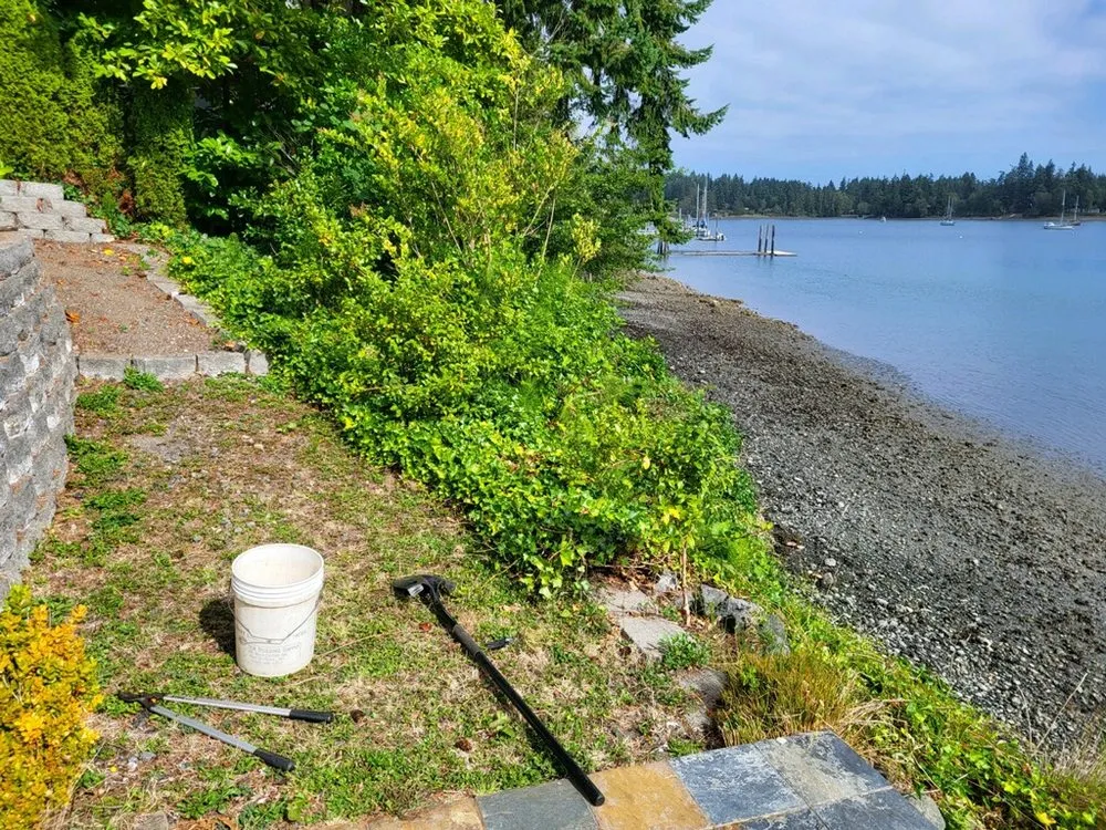 Affordable lawn care service for homes across Port Hadlock, WA - Quality Landscapes