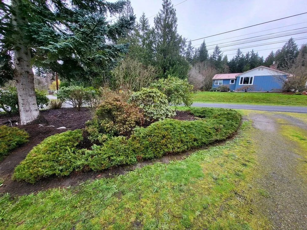 Custom residential landscaping for outdoor upgrades in Port Hadlock, WA by Quality Landscapes