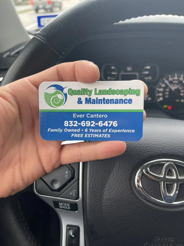 Reliable landscape installation with custom design in League City, TX by Quality landscaping & maintenance