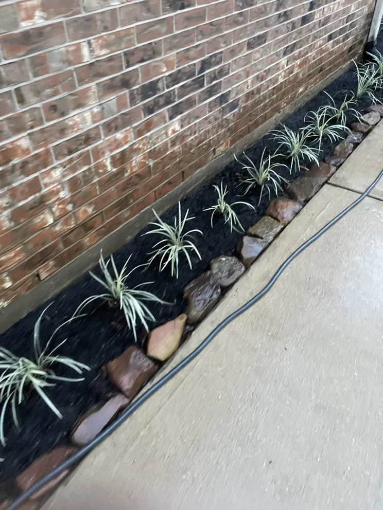 Local yard maintenance for residential properties in League City, TX by Quality landscaping & maintenance