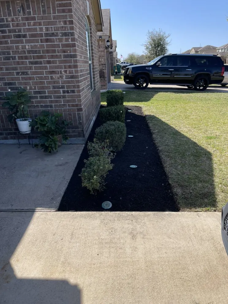 Trusted lawn mowing service in League City, TX by Quality landscaping & maintenance