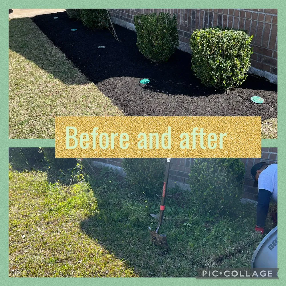 Reliable landscape design experts serving League City, TX - Quality Landscaping & Maintenance