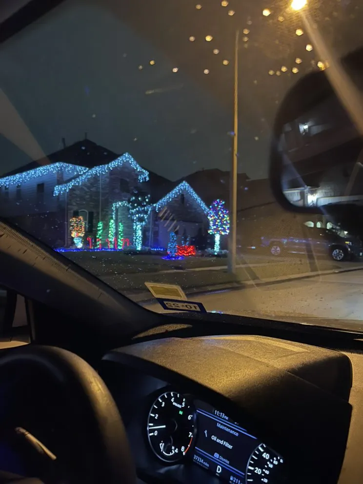 Local landscape design in League City, TX by Quality Landscaping & Maintenance