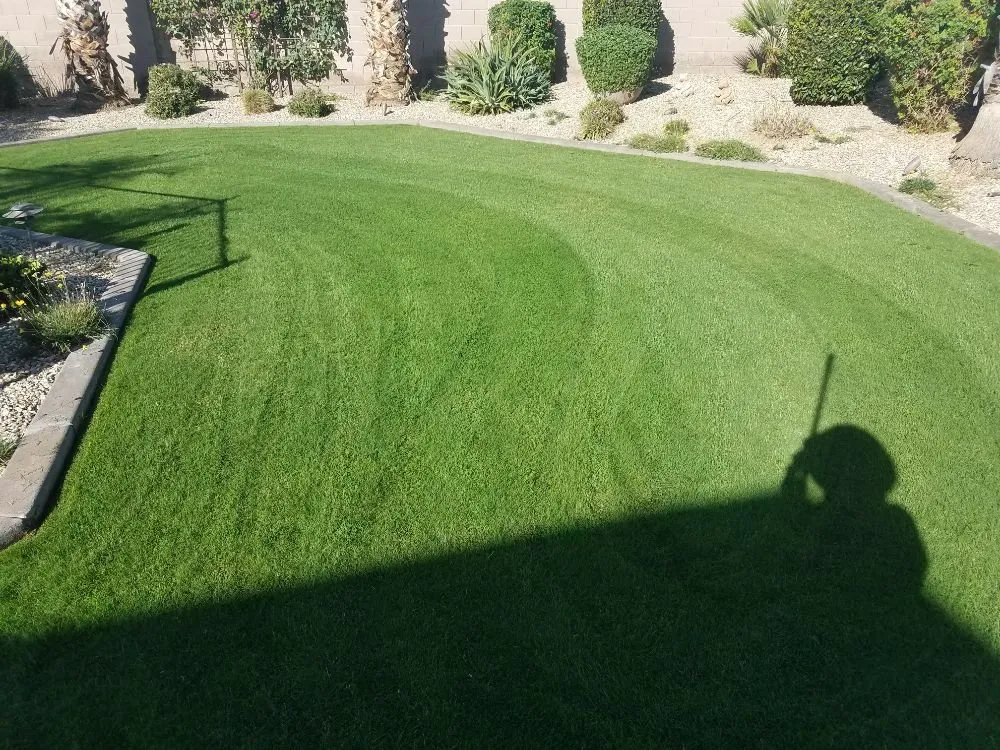 Custom landscaping services in Phoenix, AZ by Quality Landscaping & Yard Cleaning