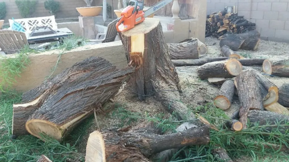 Trusted landscape installation in Phoenix, AZ by Quality Landscaping & Yard Cleaning