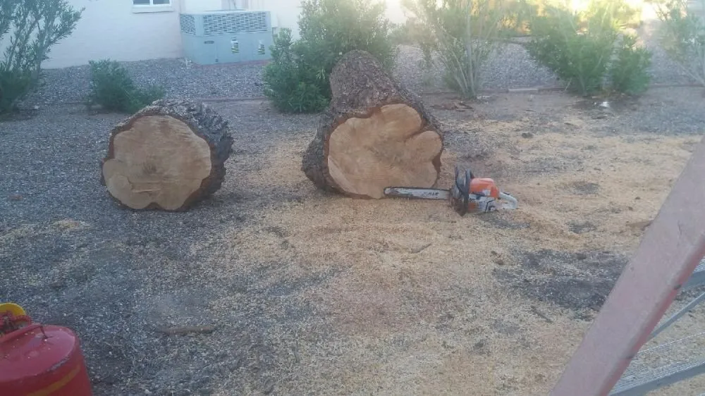 Affordable lawn mowing service in Phoenix, AZ by Quality Landscaping & Yard Cleaning