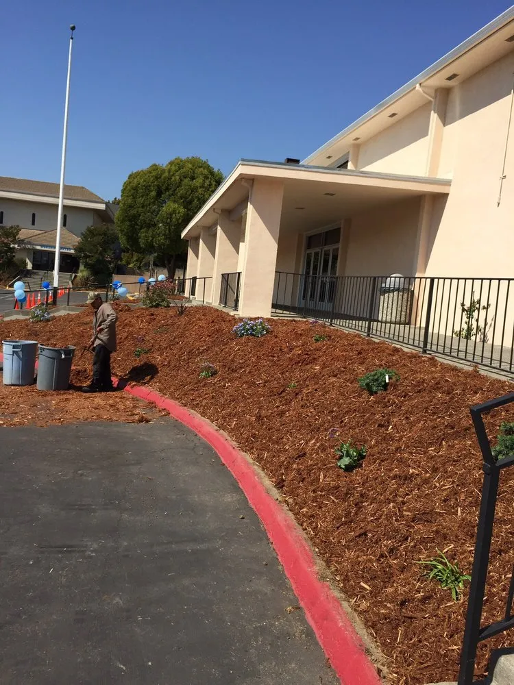 Professional landscaping services experts serving Vallejo, CA - Quality Landscaping and Maintenance