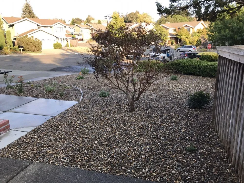 Custom landscaping services in Vallejo, CA - Quality Landscaping and Maintenance