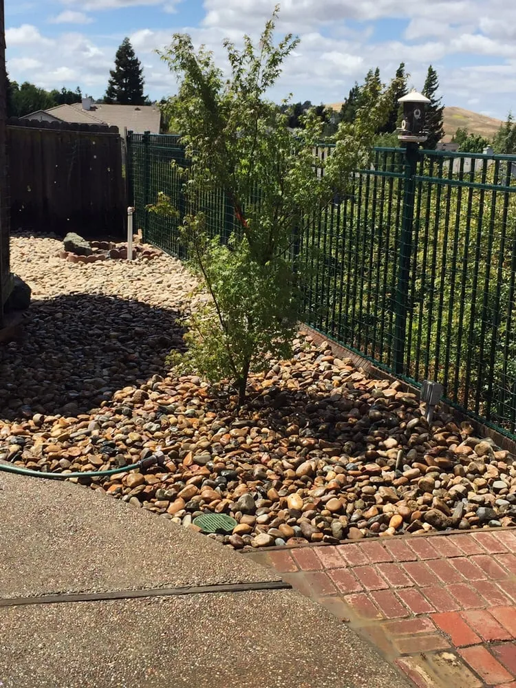 Expert lawn care service in Vallejo, CA by Quality Landscaping and Maintenance