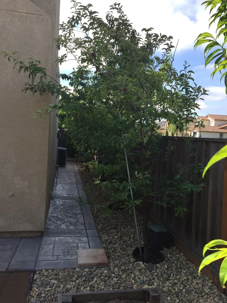 Affordable landscaping services in Vallejo, CA - Quality Landscaping and Maintenance