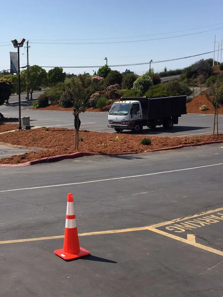 Professional landscaping services in Vallejo, CA by Quality Landscaping and Maintenance