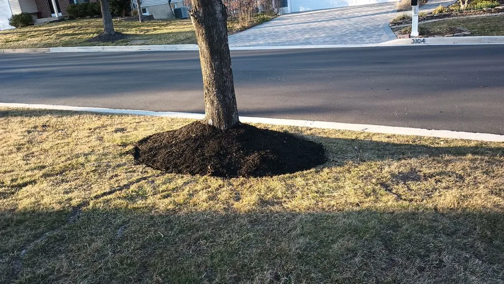 Top-rated residential landscaping in Worcester, MA by Quality Landscaping And Tree Service