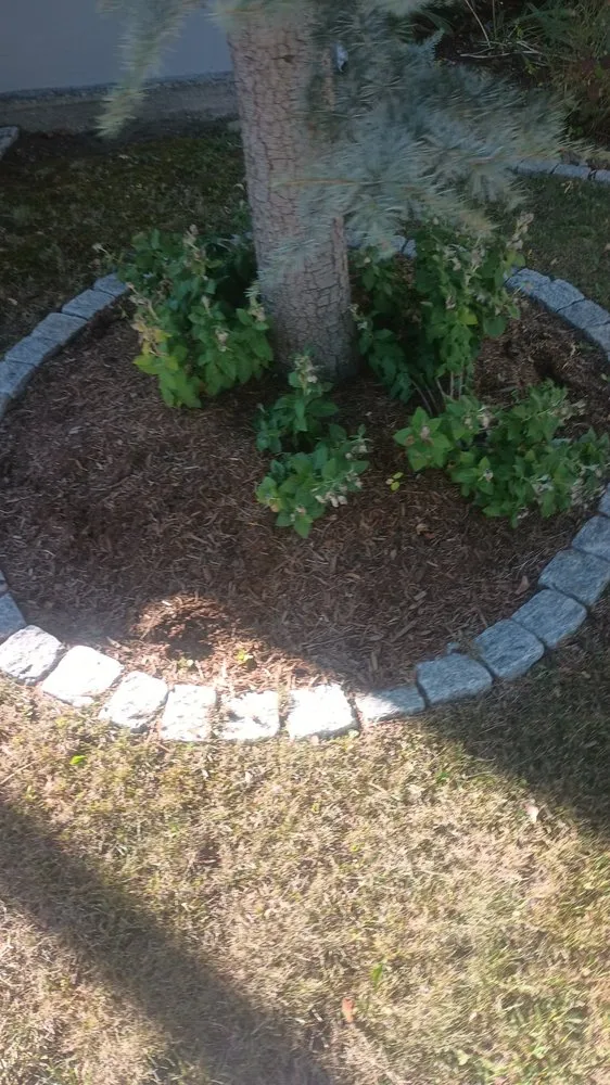 Local landscaping services for homes in Worcester, MA by Quality Landscaping And Tree Service