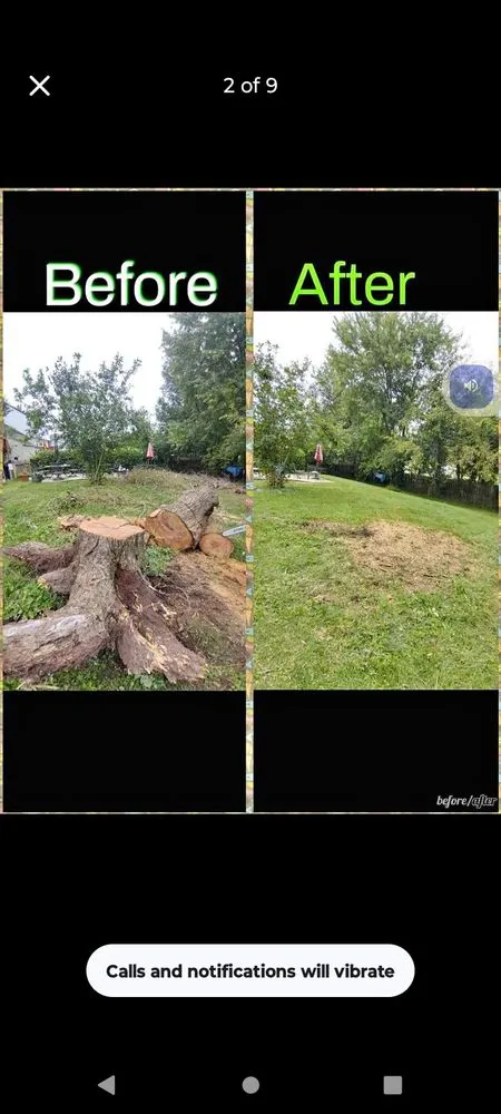 Reliable garden landscaping for year-round maintenance in Worcester, MA by Quality Landscaping And Tree Service