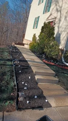 Quality Landscaping And Tree Service Logo