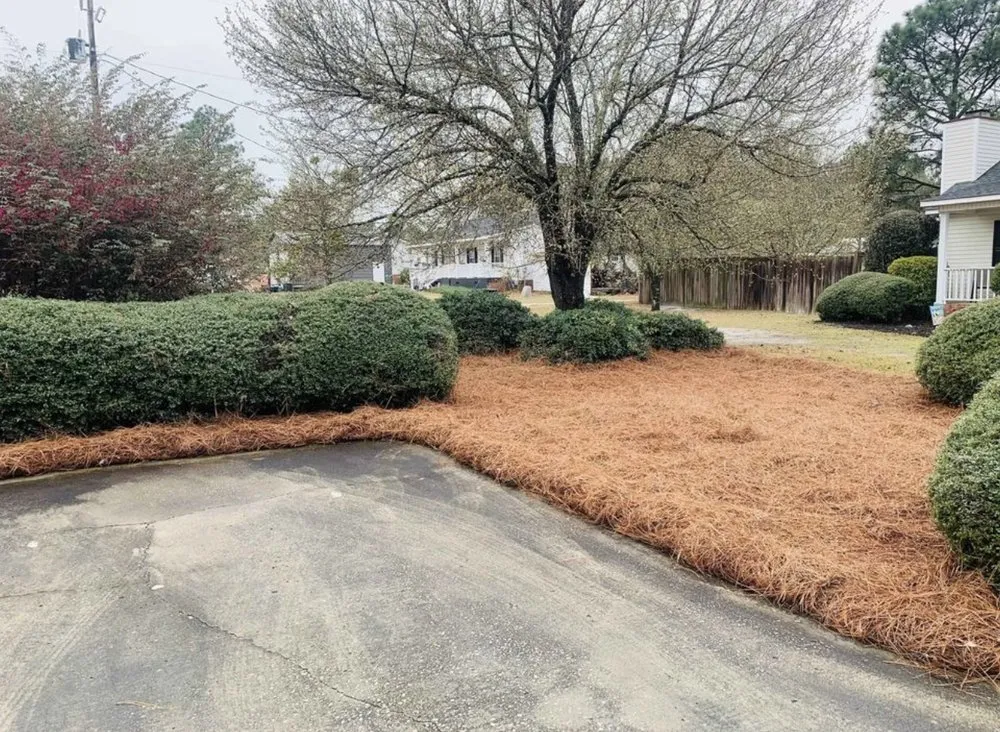 Professional landscaping services near you in Bartow, GA by Quality Landscaping
