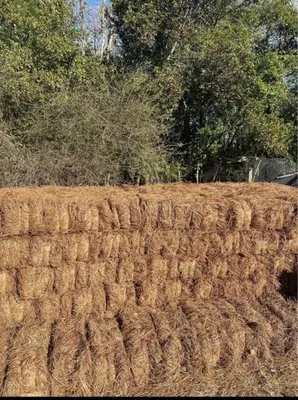Quality Landscaping Logo